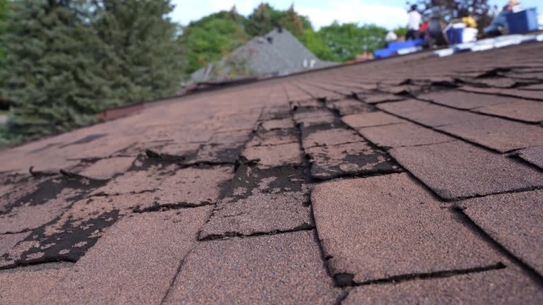 Best Roof Installation  in Beverly Hills, TX