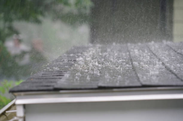 Best 4 Ply Roofing  in Beverly Hills, TX